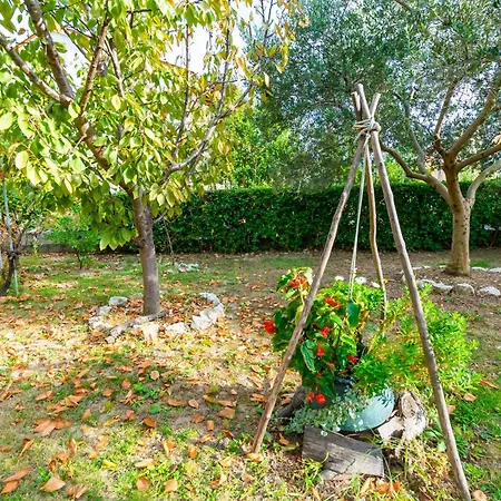 Appartement Dolores *